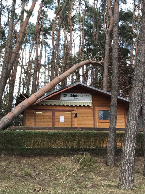 Kiosk mit Baum auf dem Dach